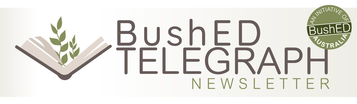BushED Telegraph