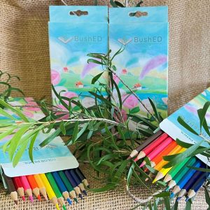 BushED Coloured Pencil Set
