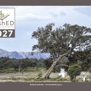 2027 Bushed Calendar (free post AU)